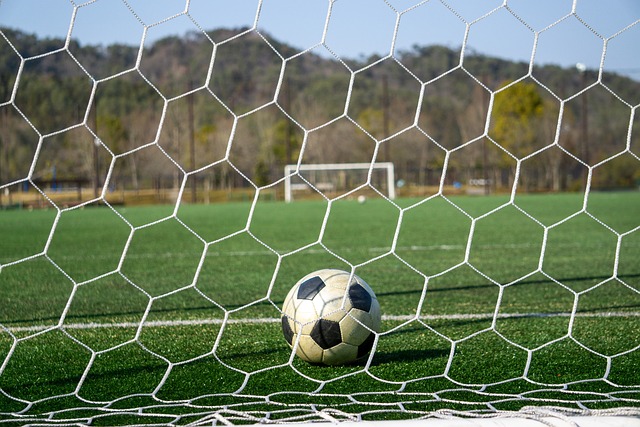 體育盛事 體育盛事