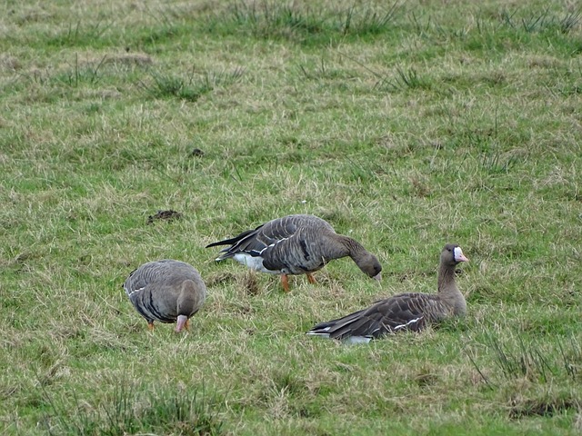 于争冠的重 于争冠的重