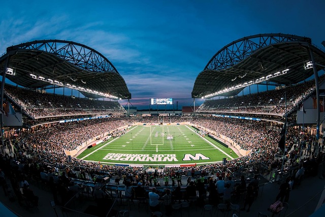 发展和心理 发展和心理