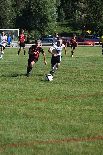 关键所在 关键所在