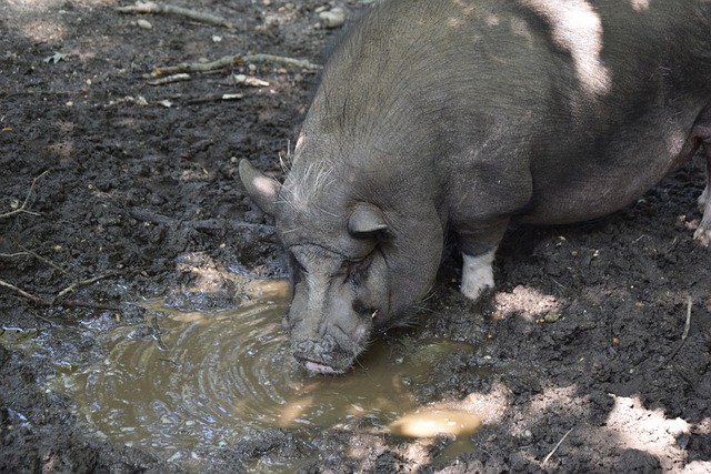 夺激战持续 夺激战持续