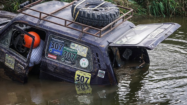阿德莱德联 阿德莱德联