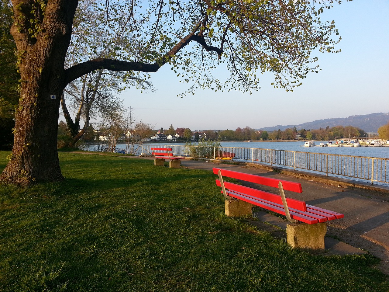 羅馬諾透露：卡尤斯特將租借加盟布倫特福德，附帶1100萬歐的買斷選項.